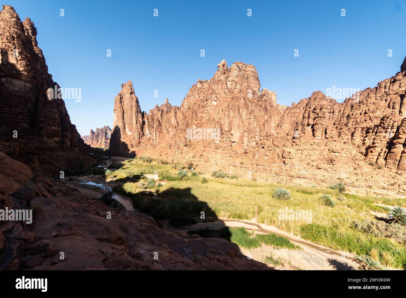 Wadi Al Disah, un célèbre canyon et oasis près de Tabuk en Arabie Saoudite au moyen-Orient Banque D'Images