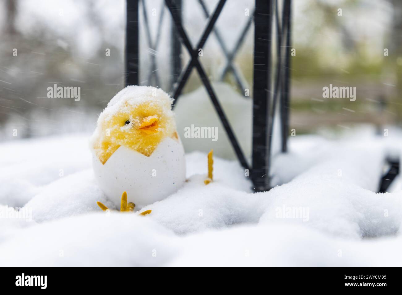 Météo saisonnière, chutes de neige pendant le mardi à Motala, Suède. Dans l'image : décorations de Pâques recouvertes de neige dans un jardin après les vacances de Pâques. Banque D'Images