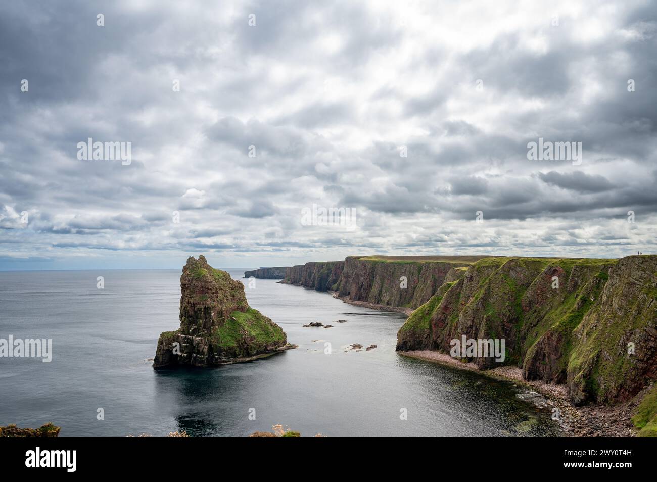 Duncansby Stacks and Cliff at North Sea, Duncansby Head, John O'Groats, Écosse, Royaume-Uni Banque D'Images