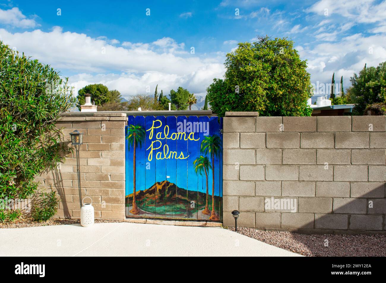 Pool home - Arizona vivant dans la banlieue de Tucson. Banque D'Images