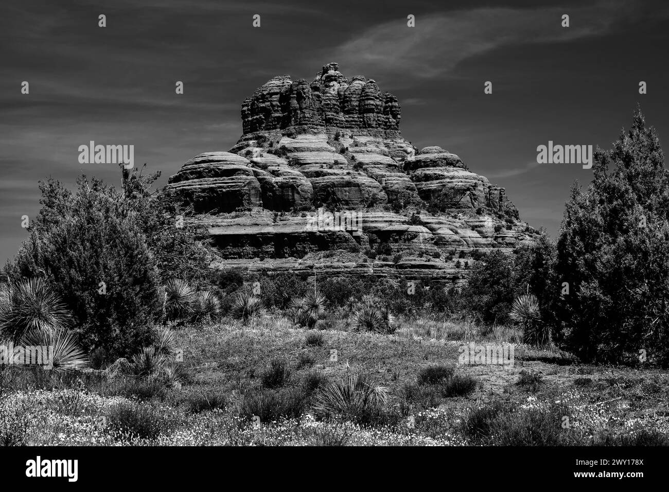 Célèbre Bell Rock, Arizona, USA Banque D'Images