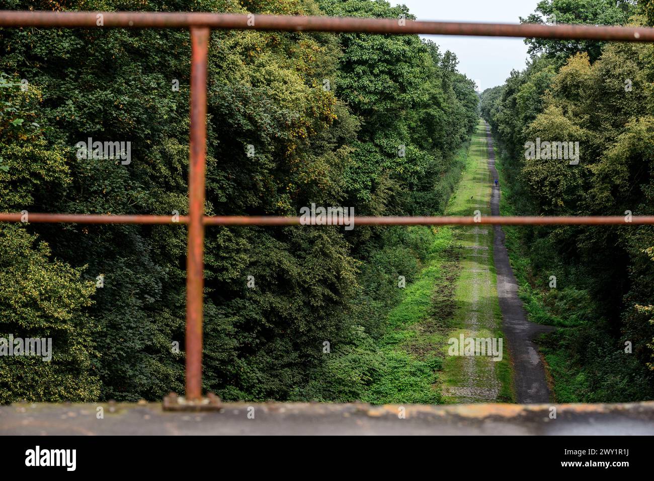 Trouee de Wallers Arenberg Dreve des boules d'Herin Banque D'Images