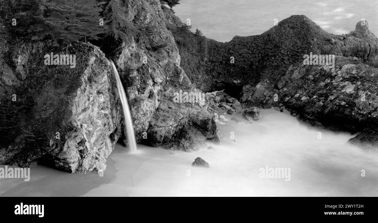 BW01637-00...... CALIFORNIE - McWay Falls chute d'eau de 80 mètres dans le parc d'État Julia Pheiffer Burns le long de la côte de Big sur. Banque D'Images
