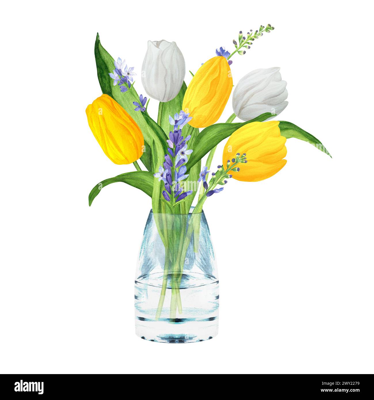 Illustration d'aquarelle dessinée à la main. Bouquet de fleurs avec tulipes blanches et jaunes, lavande et feuilles vertes. Bouquet de Pâques de printemps dans un vase en verre Banque D'Images