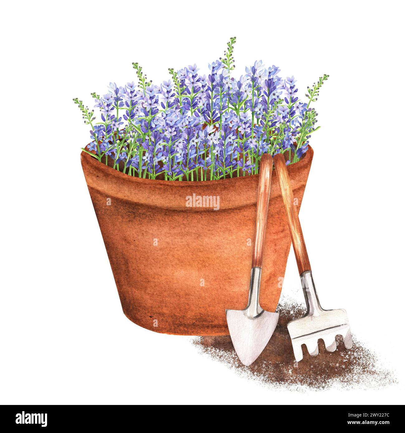 Illustration d'aquarelle dessinée à la main. Lavande en pot avec des outils de jardin - pelle et râteau. Pot de fleurs en terre cuite avec belle lavande Banque D'Images