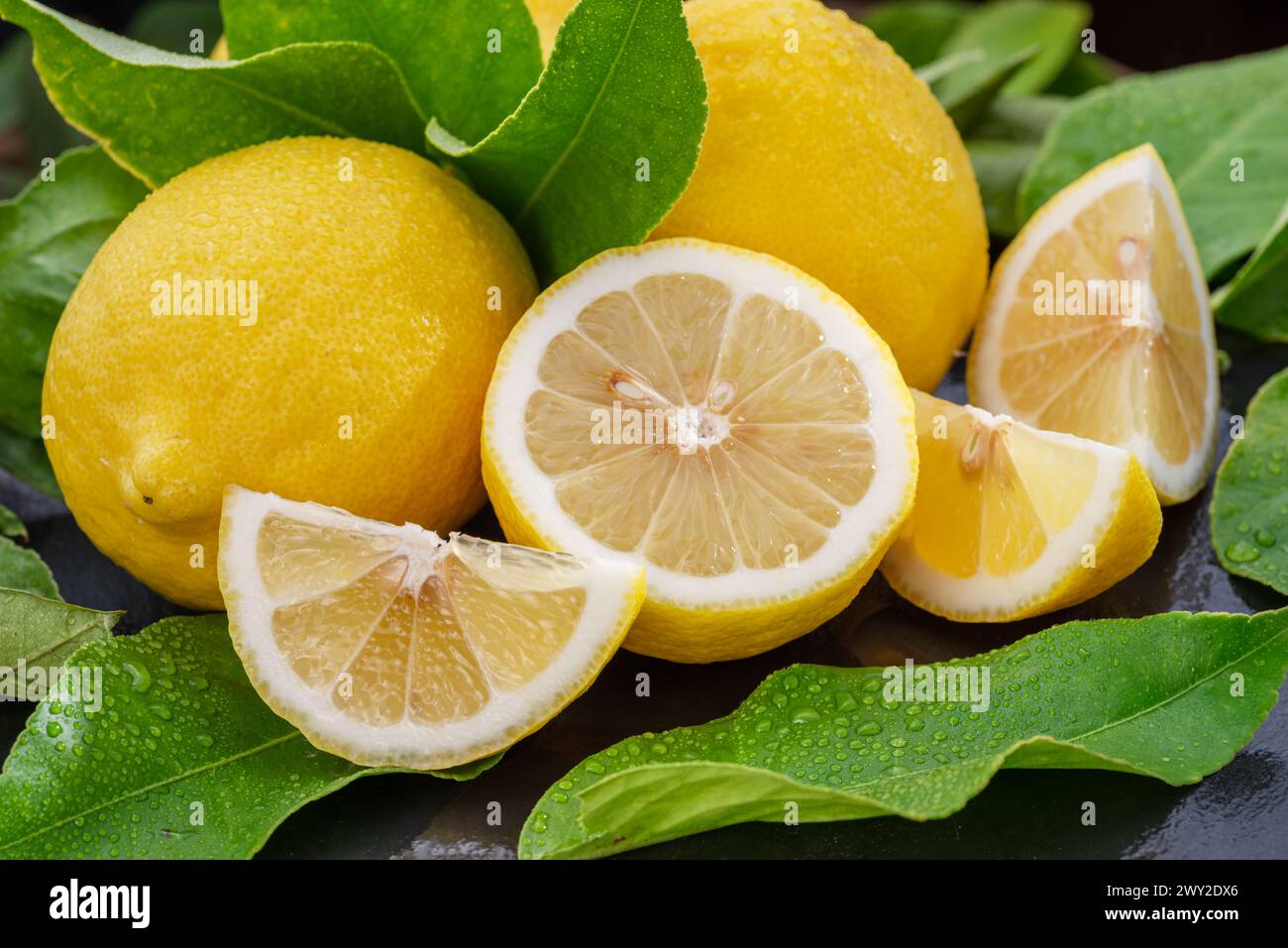 Fruits de citron mûrs avec des tranches et des feuilles de citron sur une table en pierre grise. Joli fond d'agrumes de fruits pour vos projets. Banque D'Images