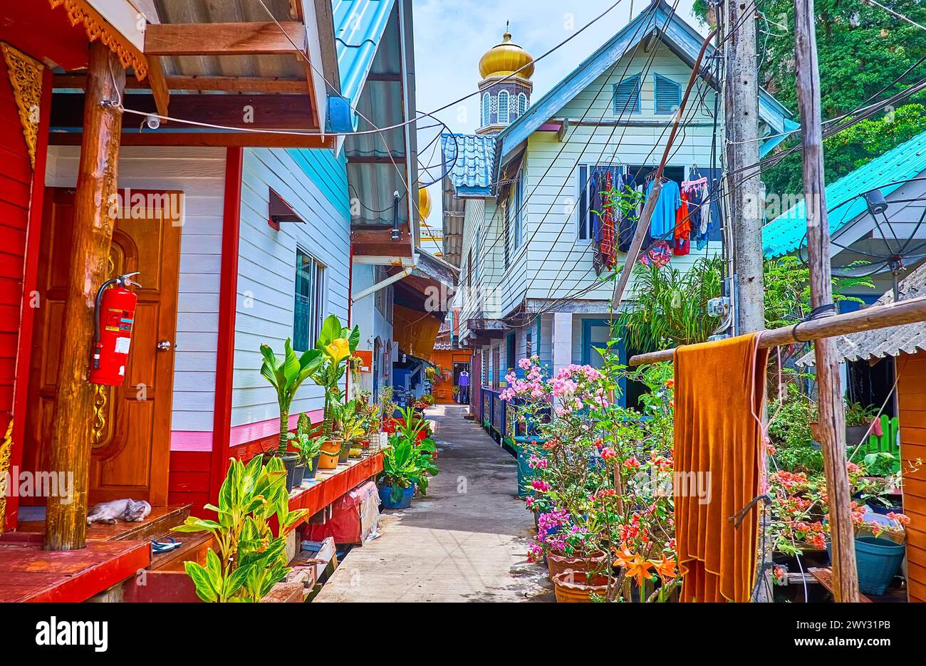 La rue étroite, flanquée de maisons sur pilotis et de plantes en pots, Ko Panyi village de pêcheurs, Phang Nga Bay, Thaïlande Banque D'Images