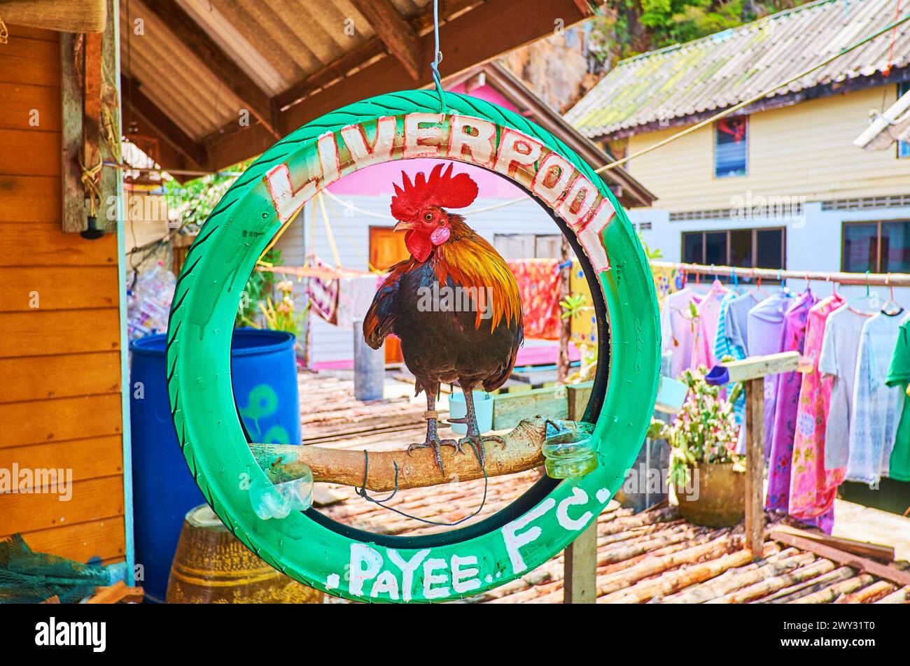 KO PANYI, THAÏLANDE - 28 AVRIL 2019 : le coq est assis sur la roue suspendue à la maison sur pilotis du village musulman flottant de Ko Panyi (Koh Panyee), sur AP Banque D'Images