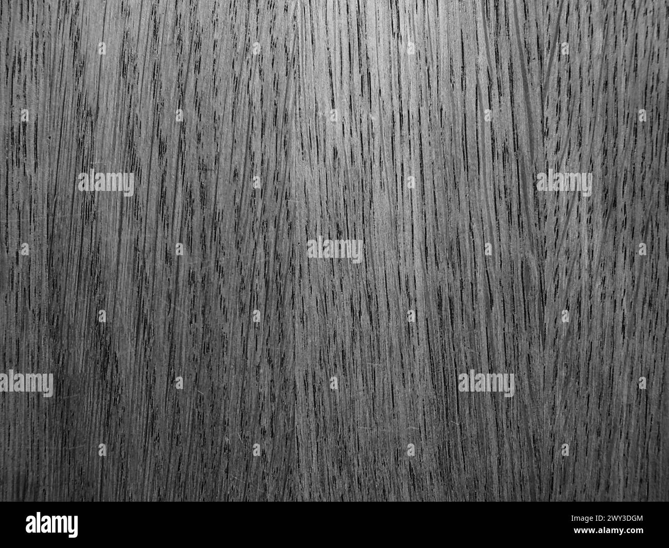 Planche en bois comme fond, structure abstraite, noir et blanc, Rhénanie du Nord-Westphalie, Allemagne Banque D'Images