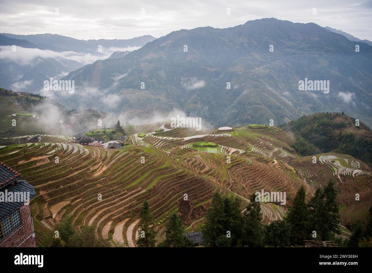 Longue terrasse de riz shen, guangxi, chine Banque D'Images