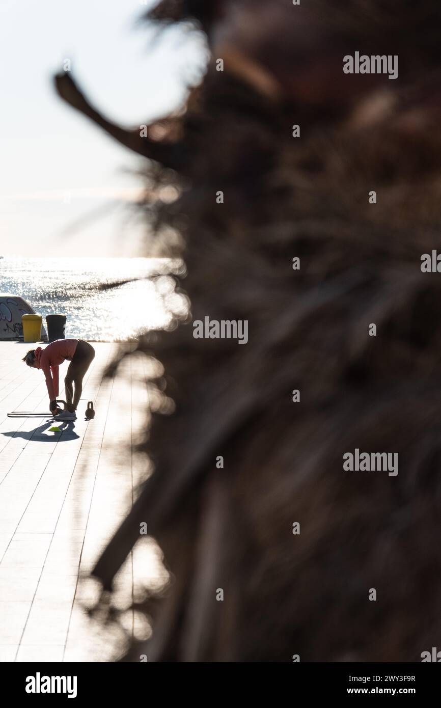 Promenade dans le vieux port avec des palmiers à Barcelone, Espagne Banque D'Images