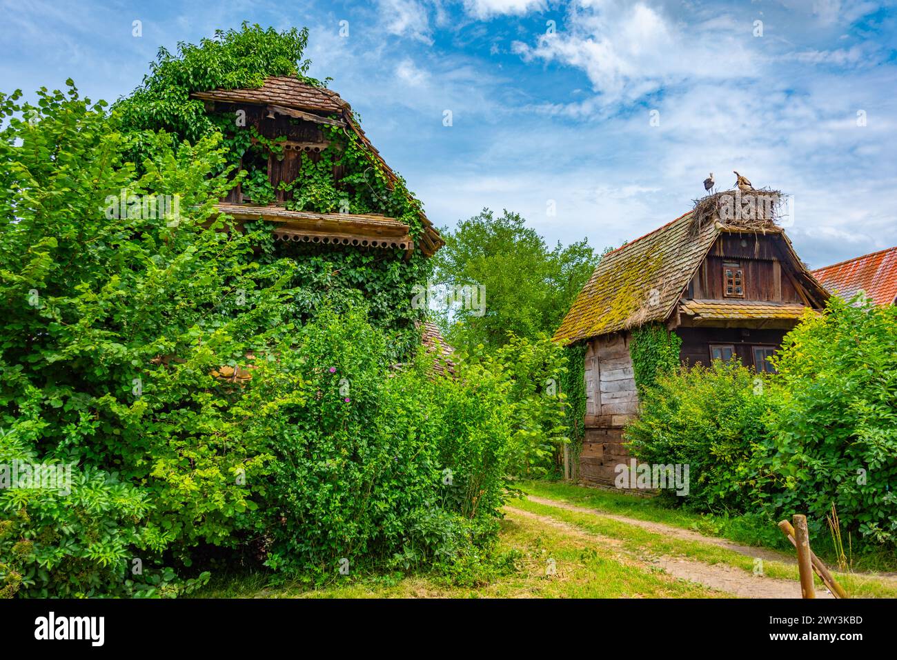 Maisons traditionnelles en bois dans le village croate Cigoc Banque D'Images