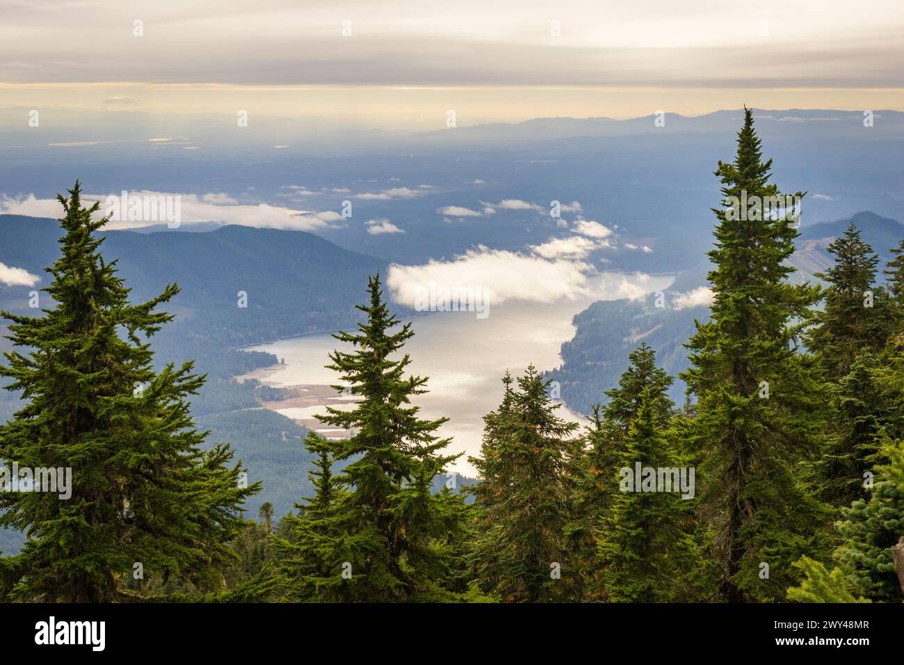 Des sapins subalpins encadrent une vue élevée sur le lac Cushman sous un ciel nuageux bas entre les crêtes boisées, depuis le mont Ellinor, forêt nationale des Olympic, Washington. Banque D'Images