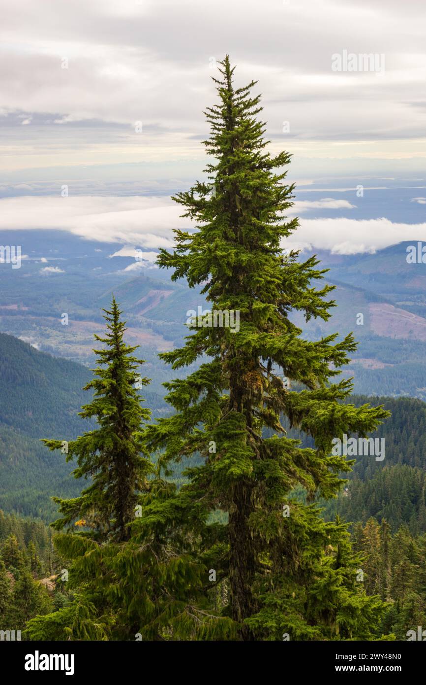 Lac Cushman depuis le mont Ellinor dans la forêt nationale olympique dans l'État de Washington, États-Unis Banque D'Images
