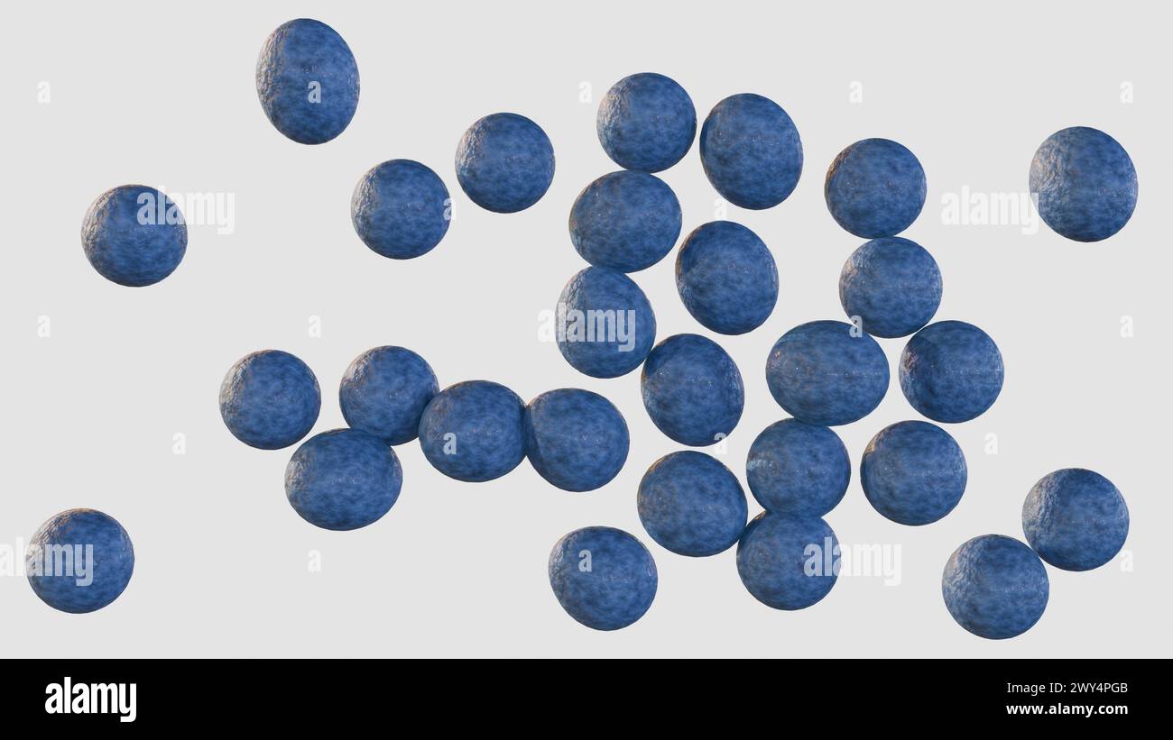 3d rendu du SARM, signifie Staphylococcus aureus résistant à la méthicilline, un type de bactérie qui est résistante à plusieurs antibiotiques Banque D'Images