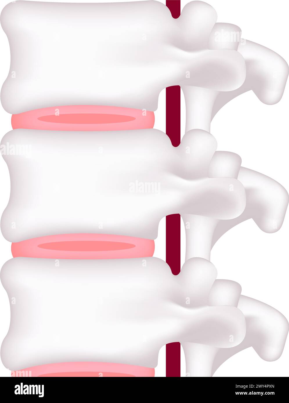 Illustration vectorielle d'un disque normal Illustration de Vecteur
