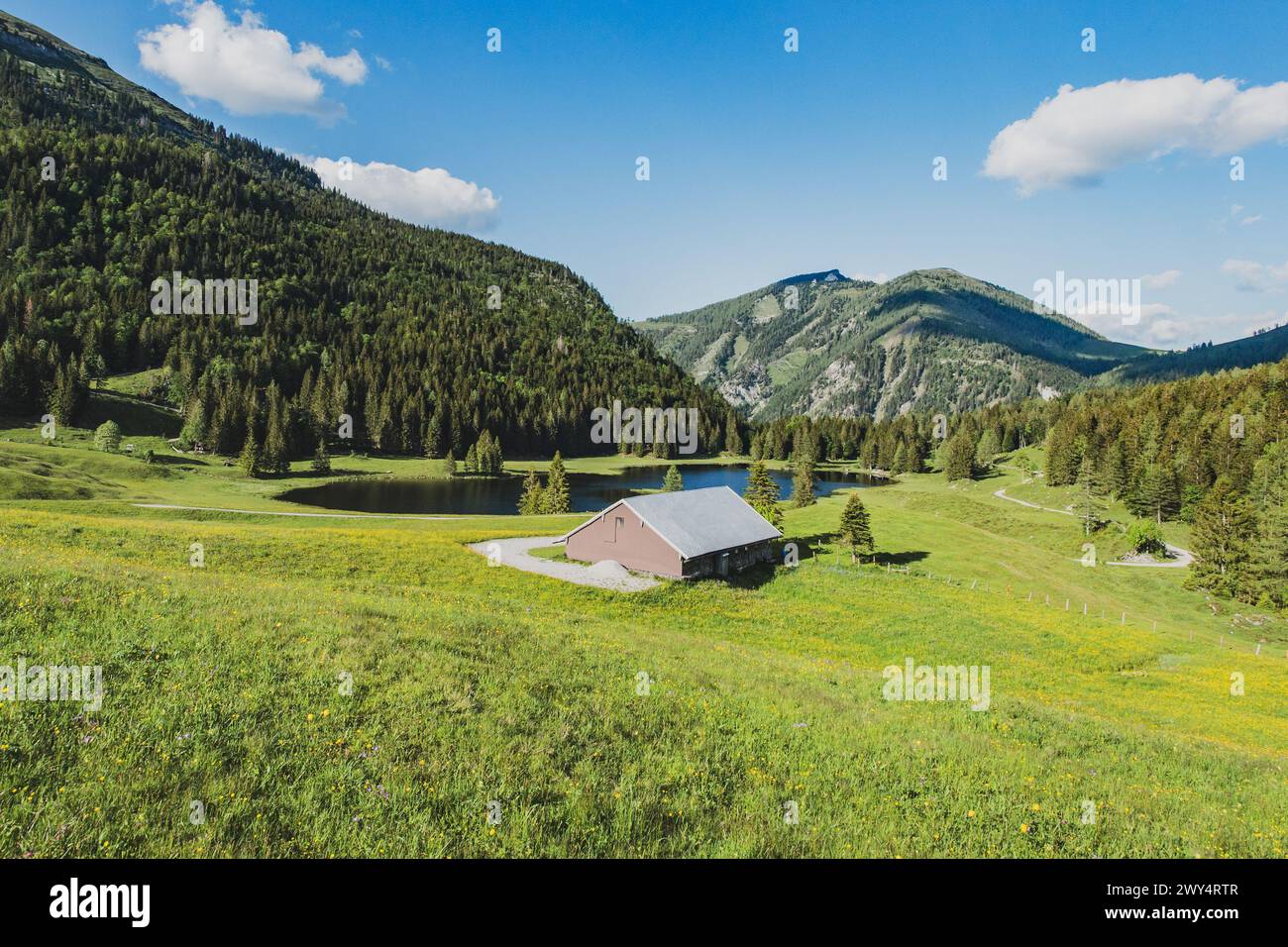 Der Seewaldsee mit Blumenwiese am Fuße des Trattberges AM 01.06.2020. // le Seewaldsee avec une prairie fleurie au pied du Trattberg le 1er juin 2020. - 20200601_PD13530 crédit : APA-defacto Datenbank und Contentmanagement GmbH/Alamy Live News Banque D'Images