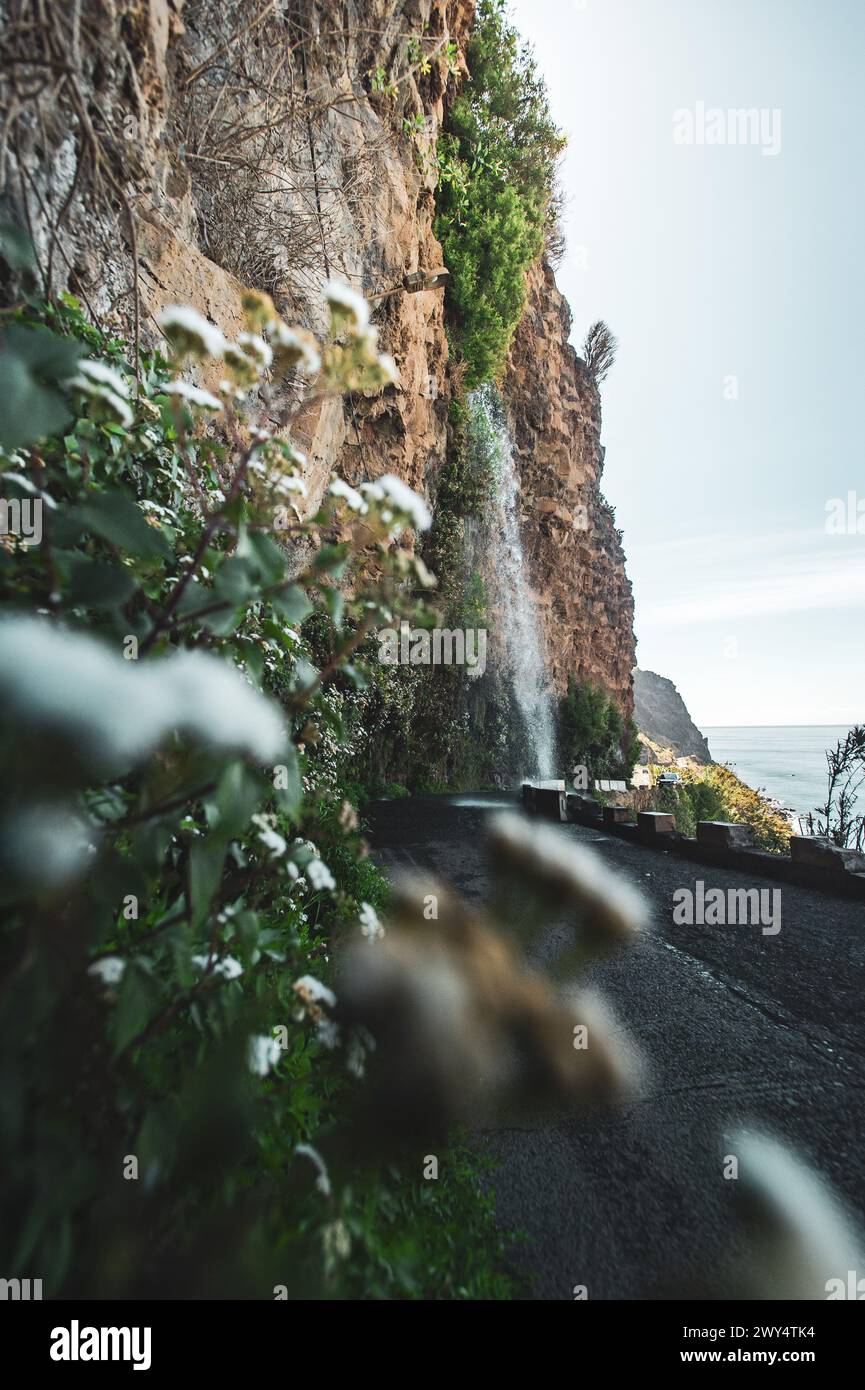 Madère, Portugal. 24 avril 2023. Unterwegs auf der portugiesischen Insel Madeira, der größten und bevölkerungsreichsten Insel des Madeira-archipels, 24. Avril 2023. IM Bild : Wasserfall Cascata dos Anjos // voyage sur l'île portugaise de Madère, la plus grande et la plus peuplée de l'archipel de Madère, 24 avril 2023. Dans l'image : Cascata dos Anjos - 20230424 PD13603 crédit : APA-defacto Datenbank und Contentmanagement GmbH/Alamy Live News Banque D'Images