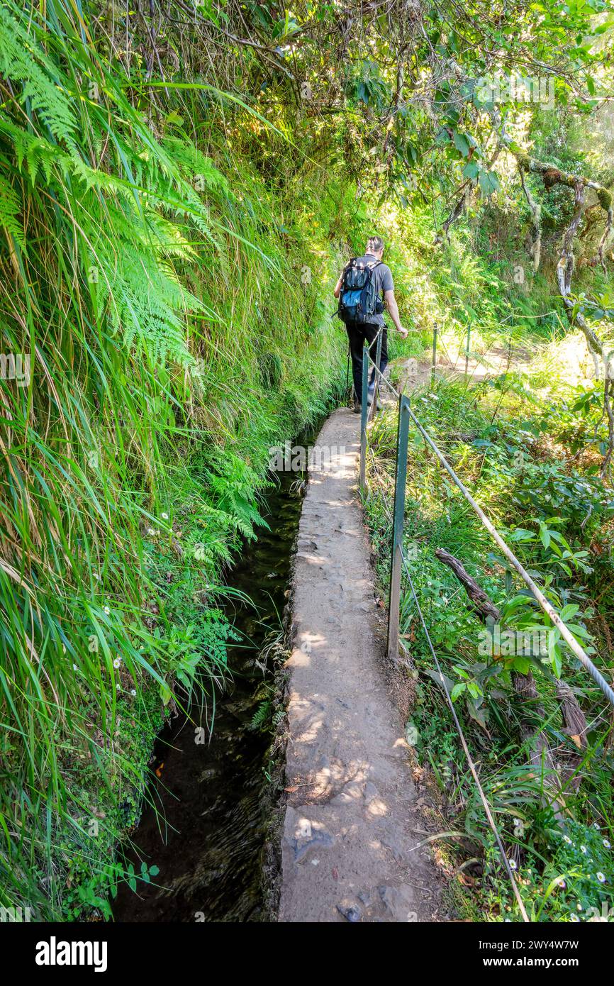 Randonnée pédestre sur un chemin étroit le long de levada Caldeirao Verde (canal d'irrigation) dans l'île de Madère, Portugal Banque D'Images