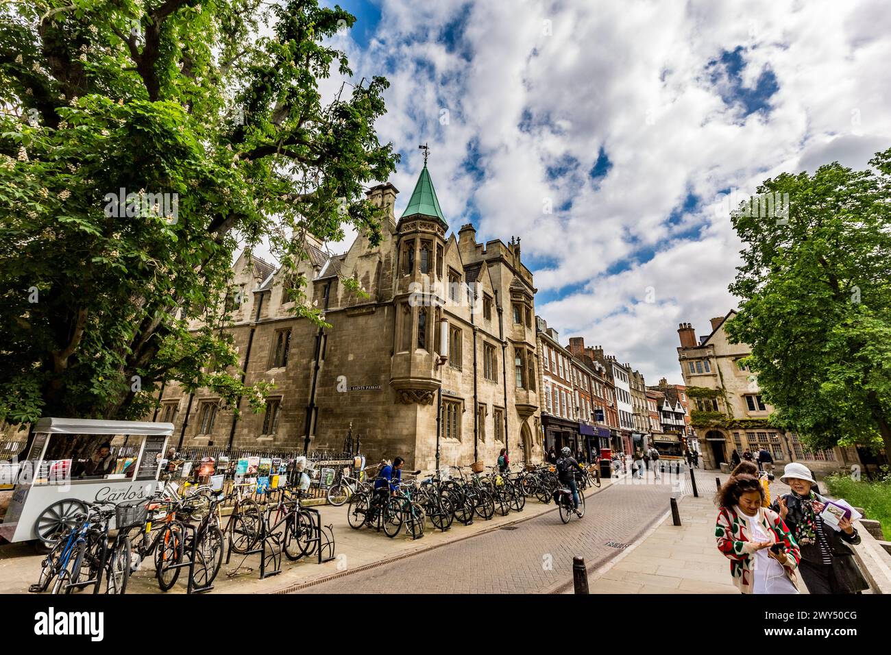 Vue sur la rue de Cambridge au printemps. Angleterre, Royaume-Uni, Europe Banque D'Images