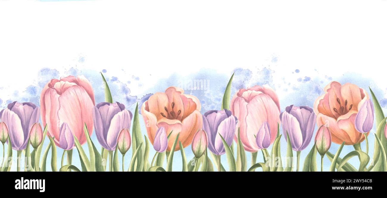 Tulipes délicates violet rose avec des feuilles vertes, bordure sans couture. Fleurs de printemps, bannière horizontale. Plante de jardin d'illustration d'aquarelle dessinée à la main. Te Banque D'Images