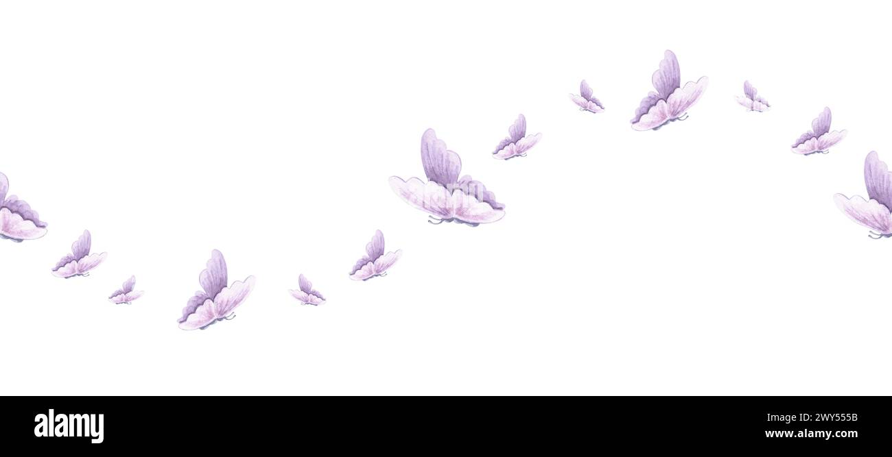 Papillons violet délicat avec des ailes flottant, bordure sans couture, motif. Bannière horizontale d'été. Illustration d'aquarelle dessinée à la main insectes volants. Banque D'Images