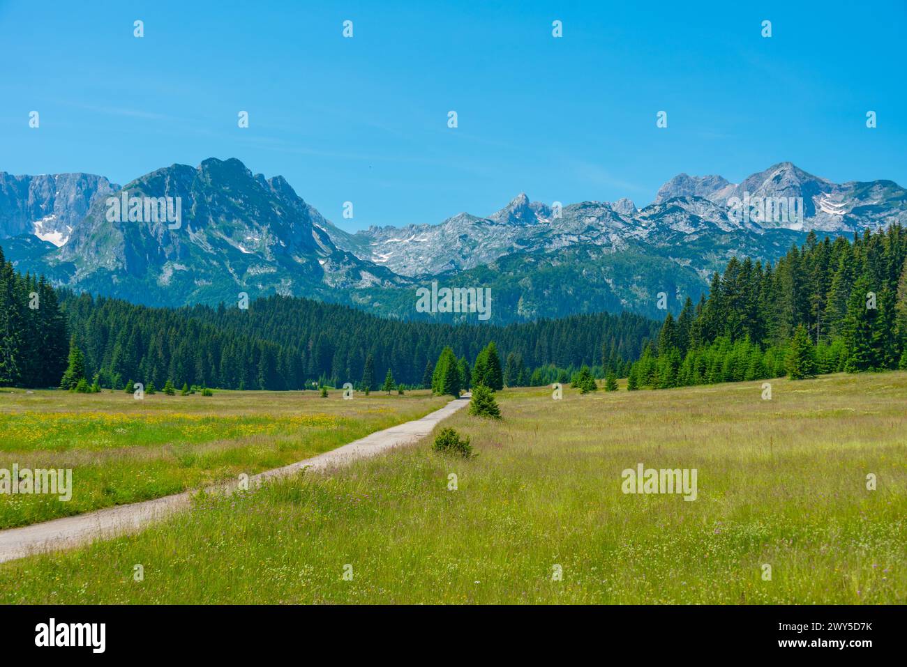 Sommets du parc national de Durmitor vus derrière une prairie, Monténégro Banque D'Images