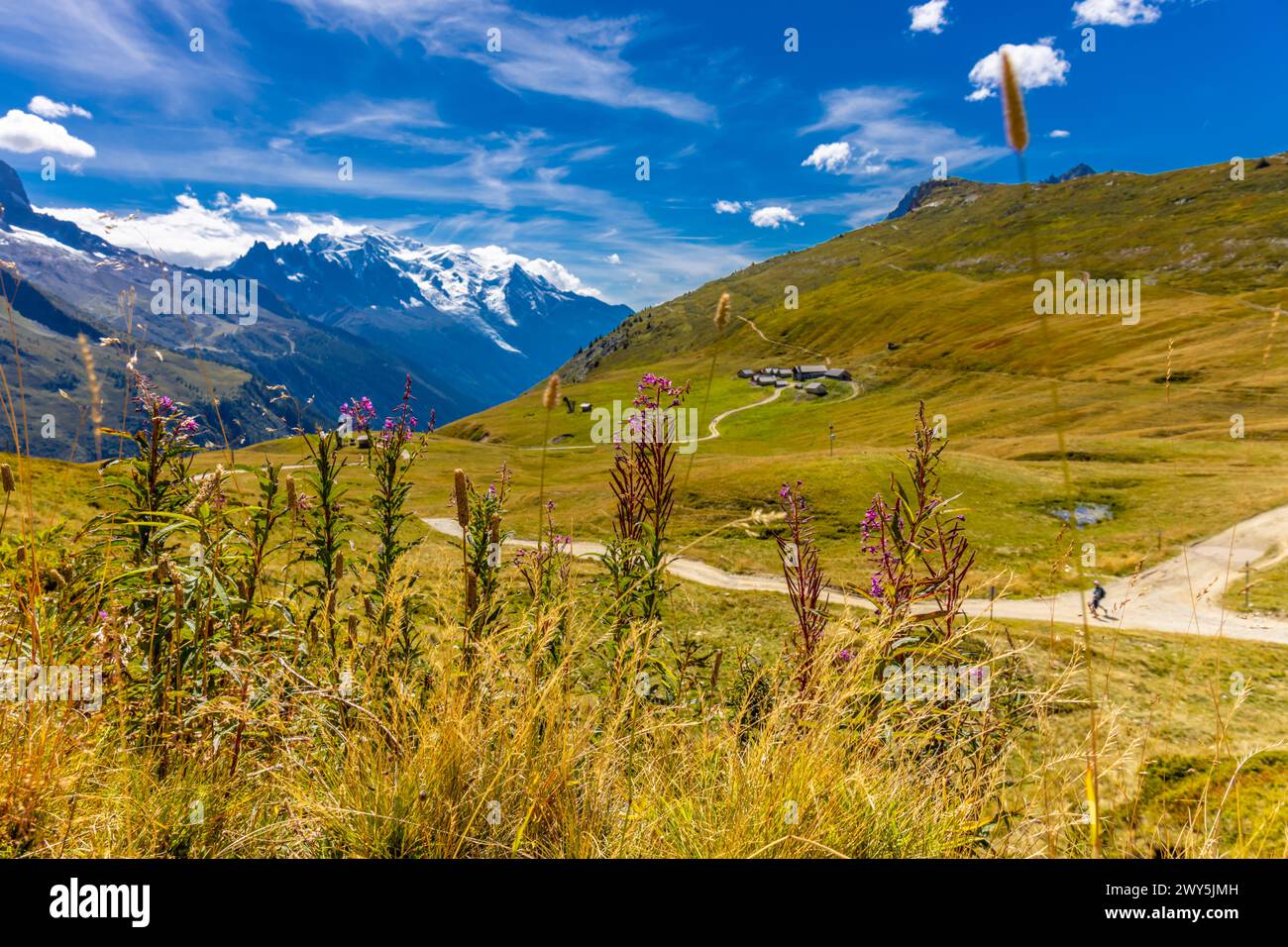 Paysage montagneux de la vallée de Chamonix depuis le chemin de randonnée Tour du Montblanc, TMB trekking dans les Alpes. Vallée verte et prairie alpine dans les hautes montagnes Banque D'Images