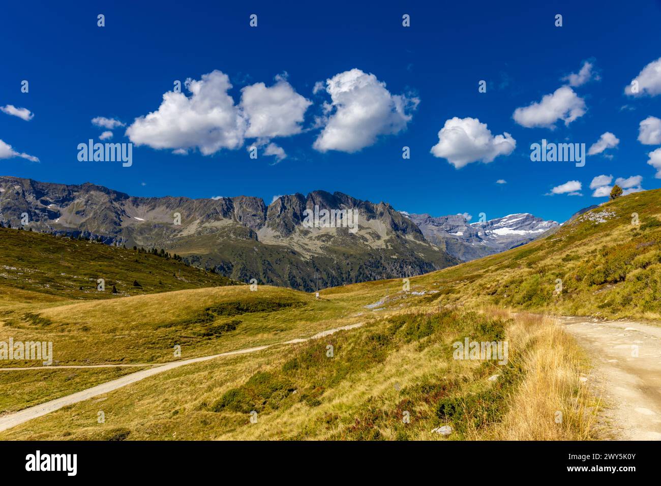 Paysage montagneux de la vallée de Chamonix depuis le chemin de randonnée Tour du Montblanc, TMB trekking dans les Alpes. Vallée verte et prairie alpine dans les hautes montagnes Banque D'Images