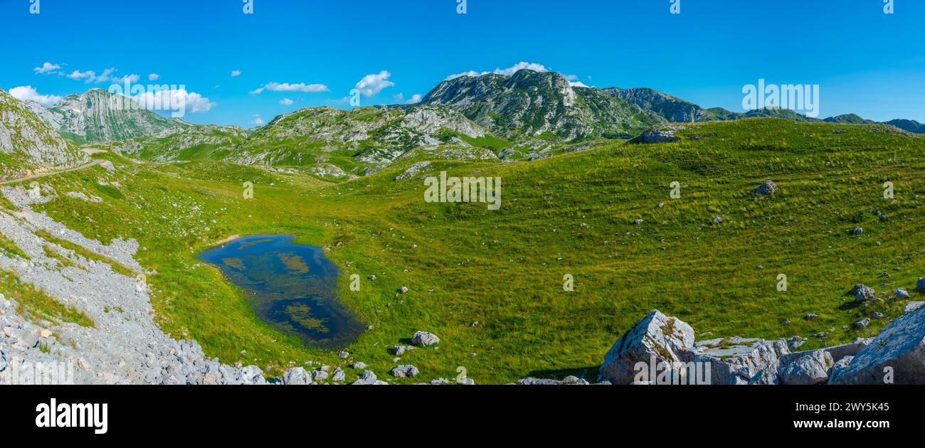 Sommets du parc national de Durmitor vus derrière une prairie, Monténégro Banque D'Images