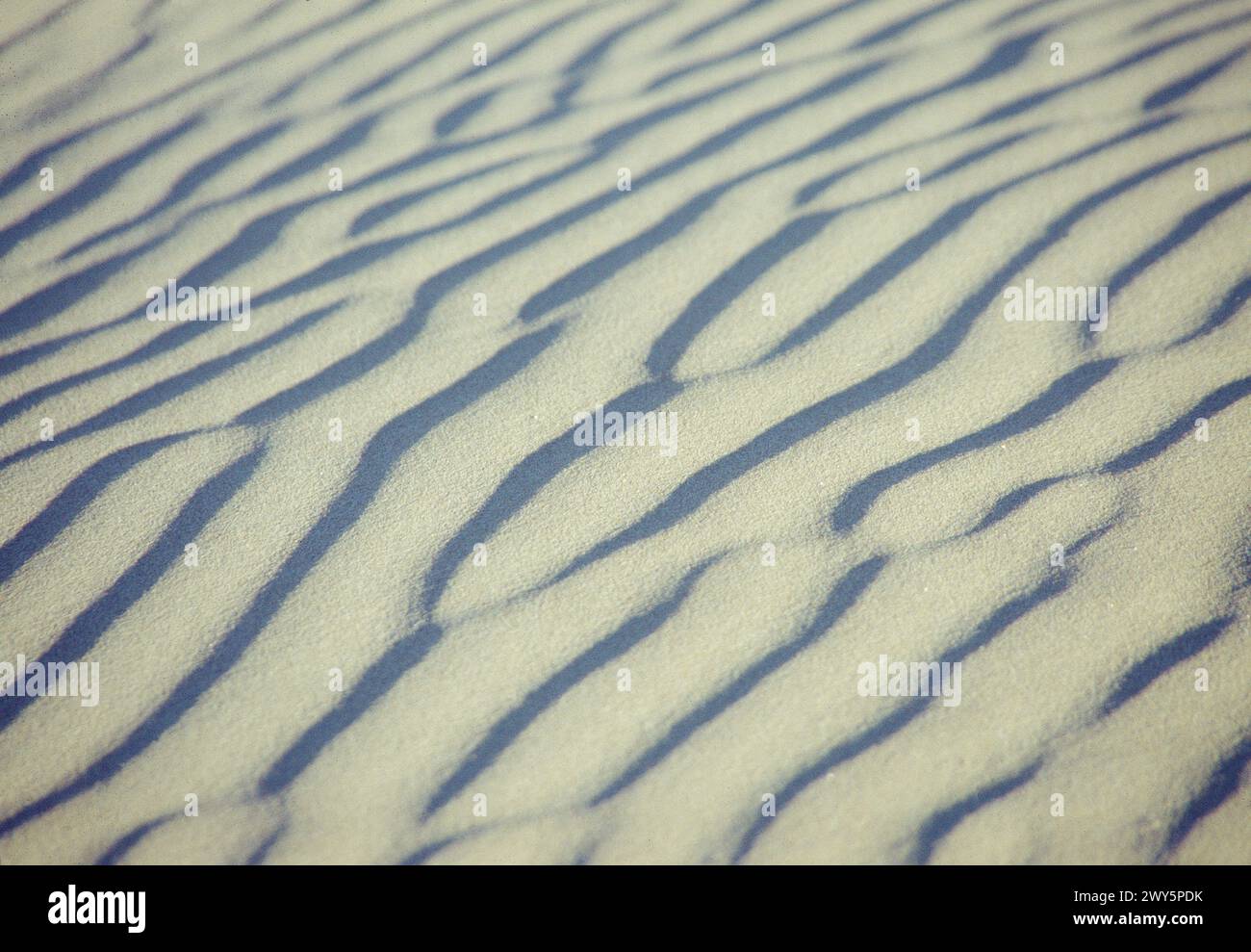 Ondulations de sable. Banque D'Images