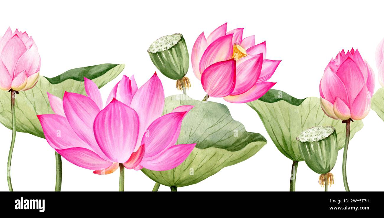 bordure sans couture aquarelle avec fleur de lotus rose et feuilles, illustration dessinée à la main du thème spa et yoga, croquis de nénuphar violet avec bourgeons dedans Banque D'Images