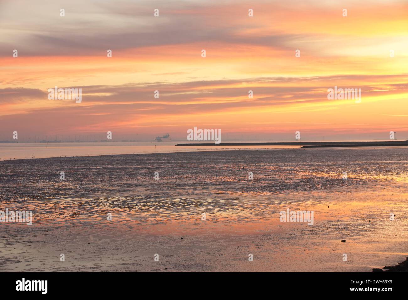 Lever de soleil et réflexion sur l'embouchure de l'Elbe près d'Otterndorf en basse-Saxe. Au premier plan la mer des Wadden dans le parc national de la mer des Wadden. Banque D'Images