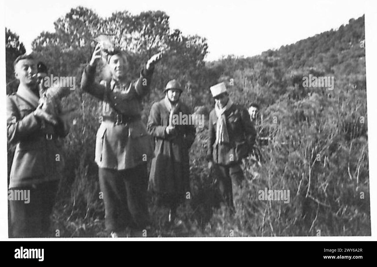 Les troupes du 2e bataillon du 5e régiment de Tirailleurs tunisiens de l'armée française libèrent un pigeon porteur avec un message au QG de Maktar lors de la bataille de Bou Arada le 24 janvier 1943. Banque D'Images