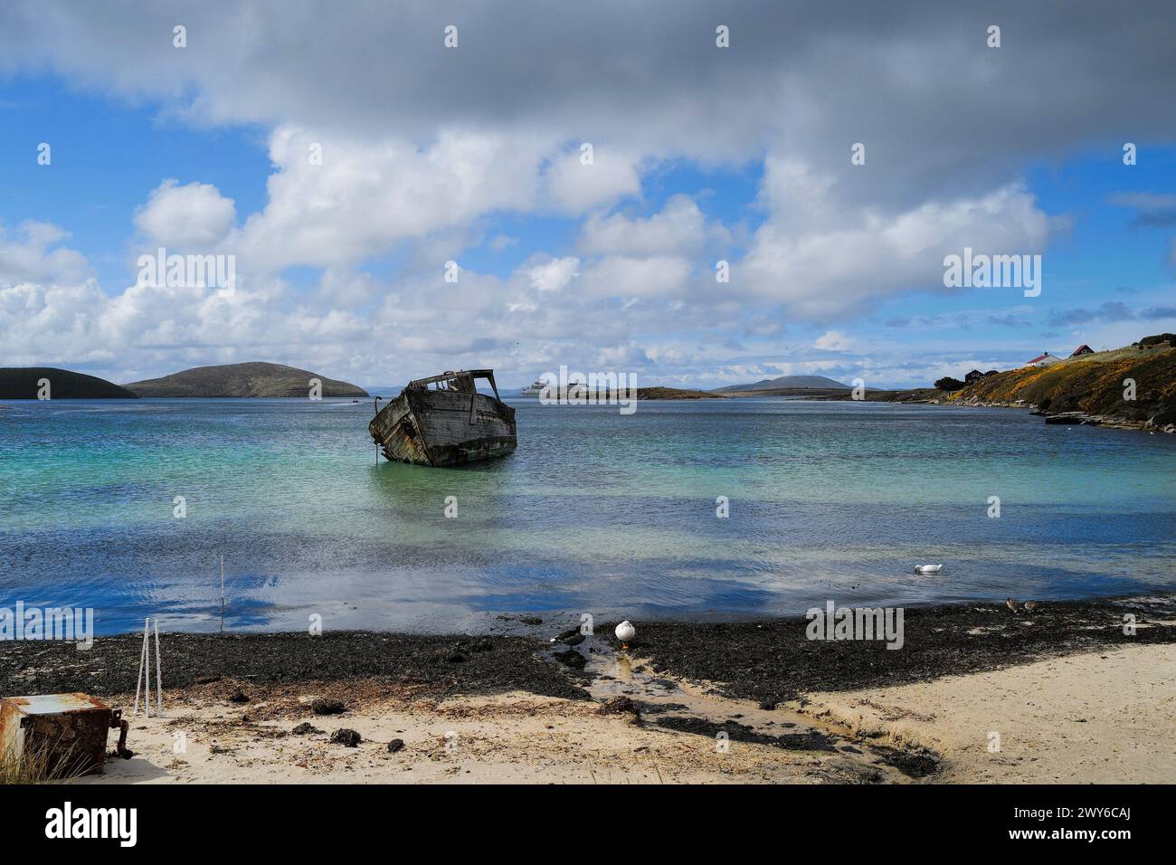 Épave de New Island, îles Falkland Banque D'Images