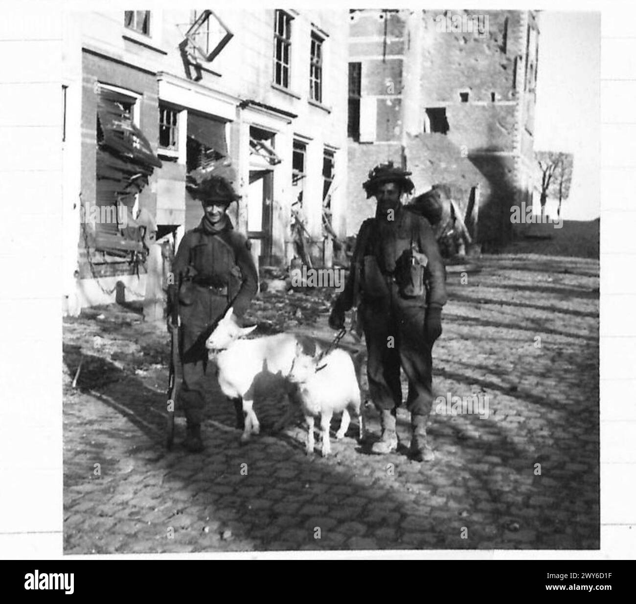 Les soldats A. Holt et A. E. Druce de la compagnie d, 4e bataillon Lincolns, transportent deux chèvres trouvées dans les ruines au nord de Mark, Hollande, 21e groupe d'armées, armée britannique. Banque D'Images