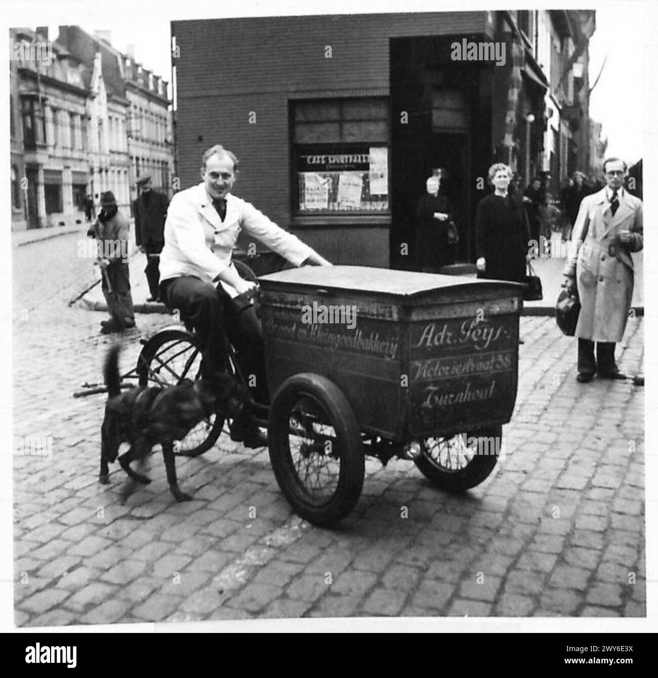 Dans la Belgique libérée, le cyclo de livraison d'un commerçant, accompagné d'un chien aidant au transport et à la garde, se déplace dans le trafic urbain. Banque D'Images Dans la Belgique libérée, le cyclo de livraison d'un commerçant, accompagné d'un chien aidant au transport et à la garde, se déplace dans le trafic urbain. Banque D'Images