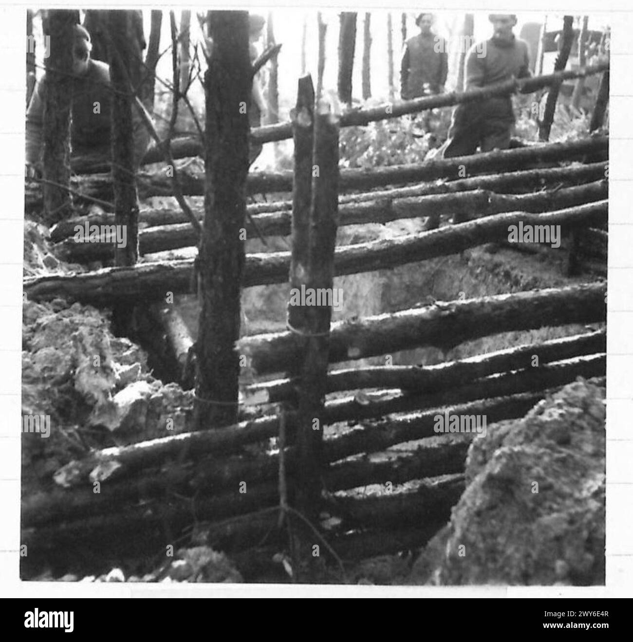 L'infanterie est creusée près des rives de la rivière Maas avec du bois positionné pour la fortification pendant les opérations de l'armée britannique. Banque D'Images