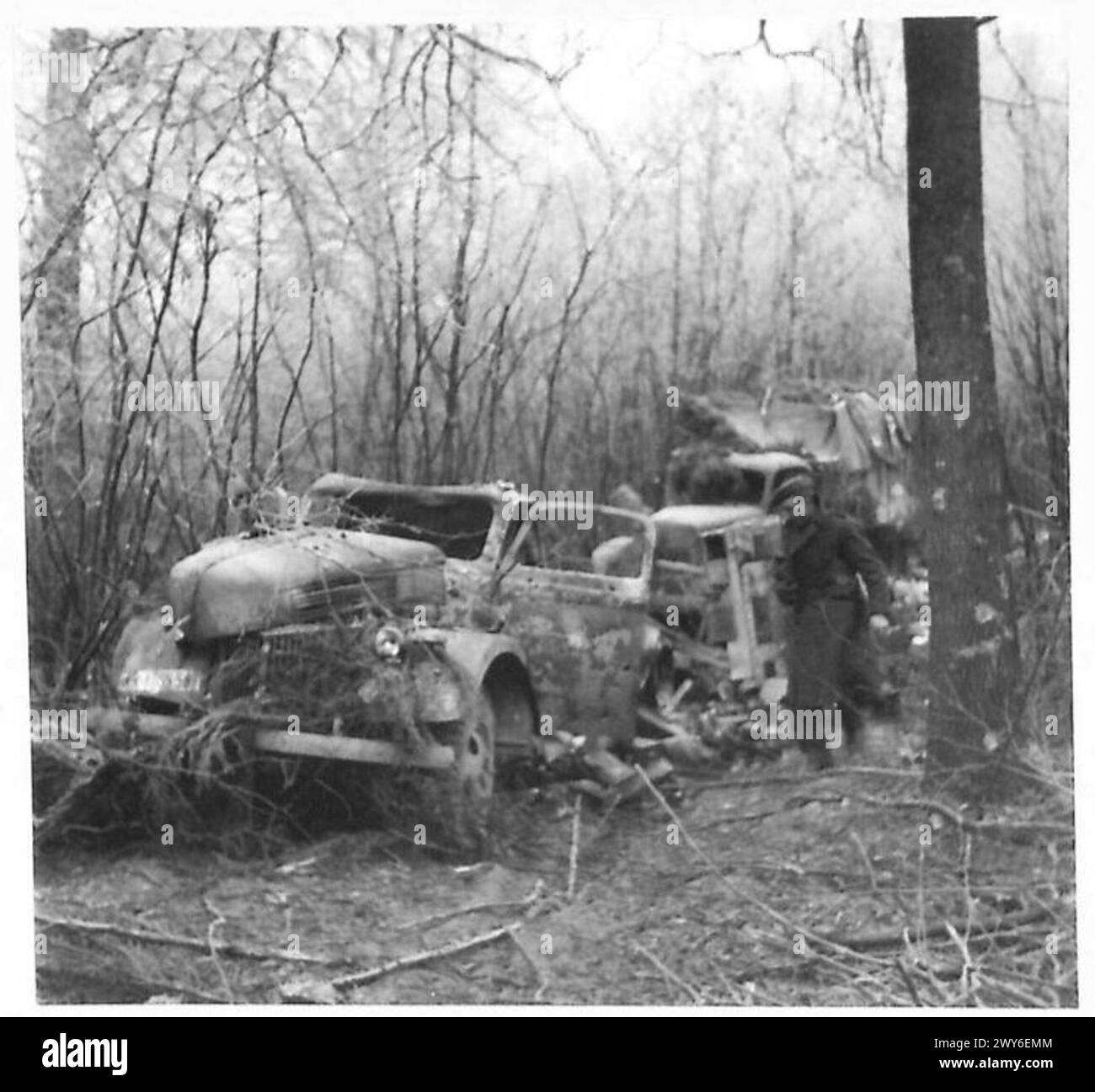 Des véhicules allemands détruits sont vus incendiés dans une zone boisée après des combats. Banque D'Images