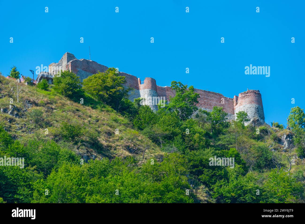 Vue panoramique de la Citadelle de Poenari en Roumanie Banque D'Images