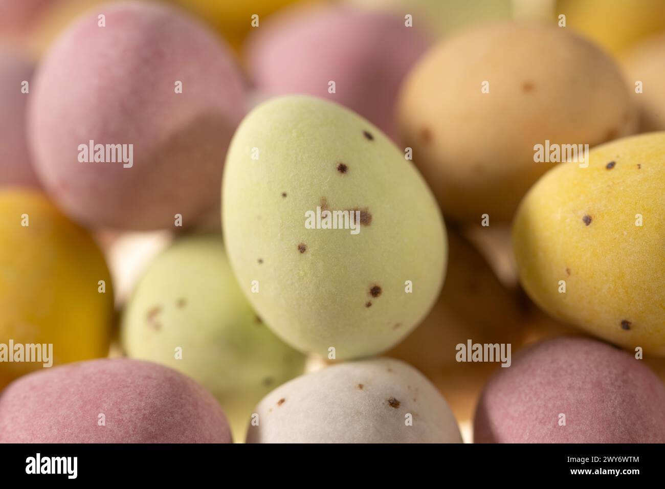 Gros plan de mini-œufs enrobés de sucre et de couleur pastel. Banque D'Images