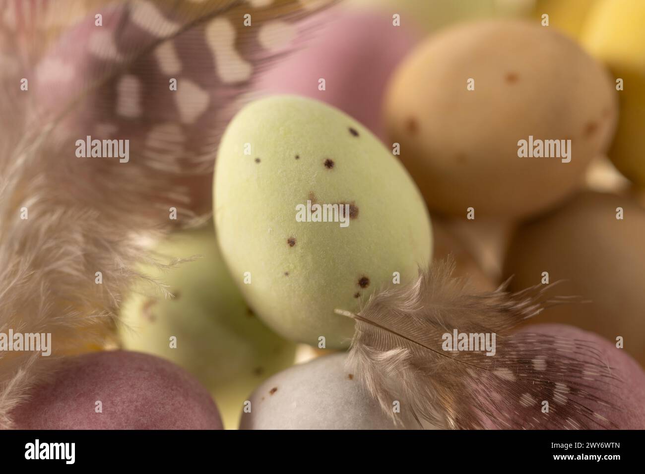 Gros plan de mini-œufs et de plumes pastel enrobés de sucre Banque D'Images