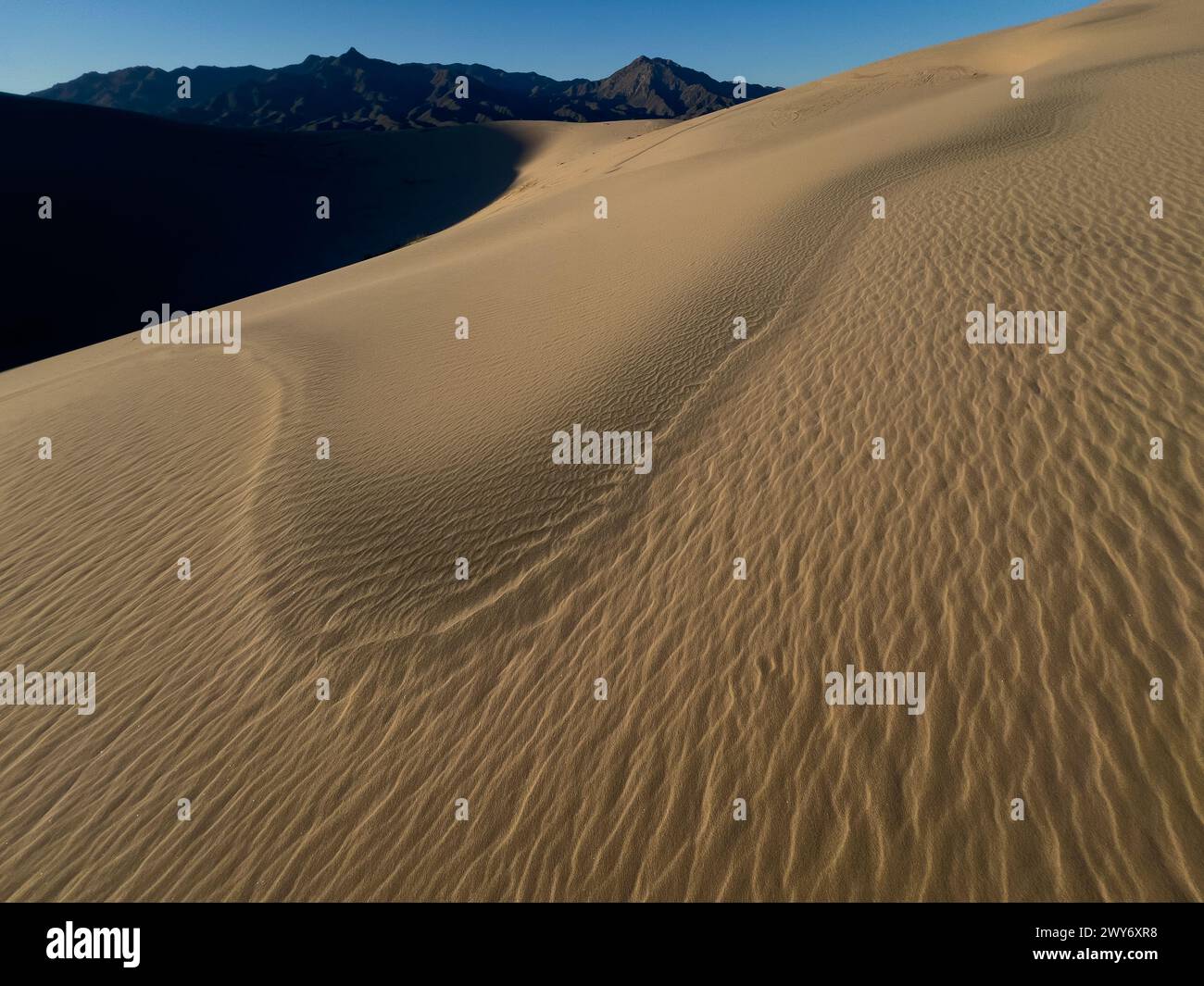 Superbes dunes de Kelso dans la réserve nationale de Mojave, Californie, États-Unis Banque D'Images