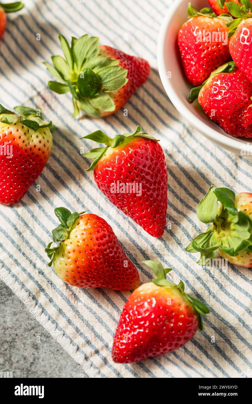 Fraises rouges crues biologiques dans un bol Banque D'Images