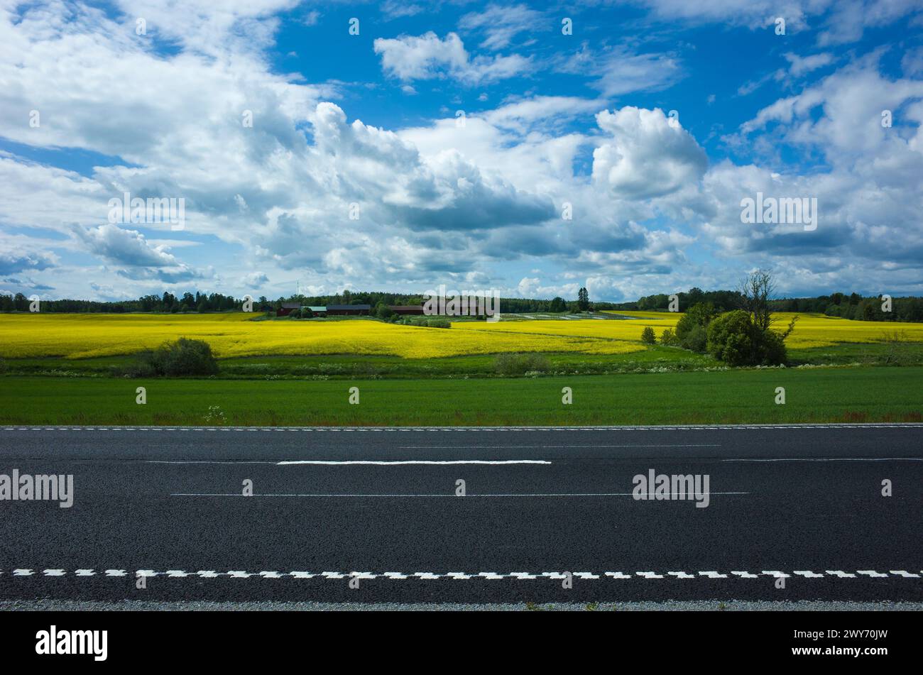 Paysage pittoresque avec des lignes de route asphaltée, champs verts et jaunes, ciel bleu avec des nuages pittoresques, Suède Banque D'Images