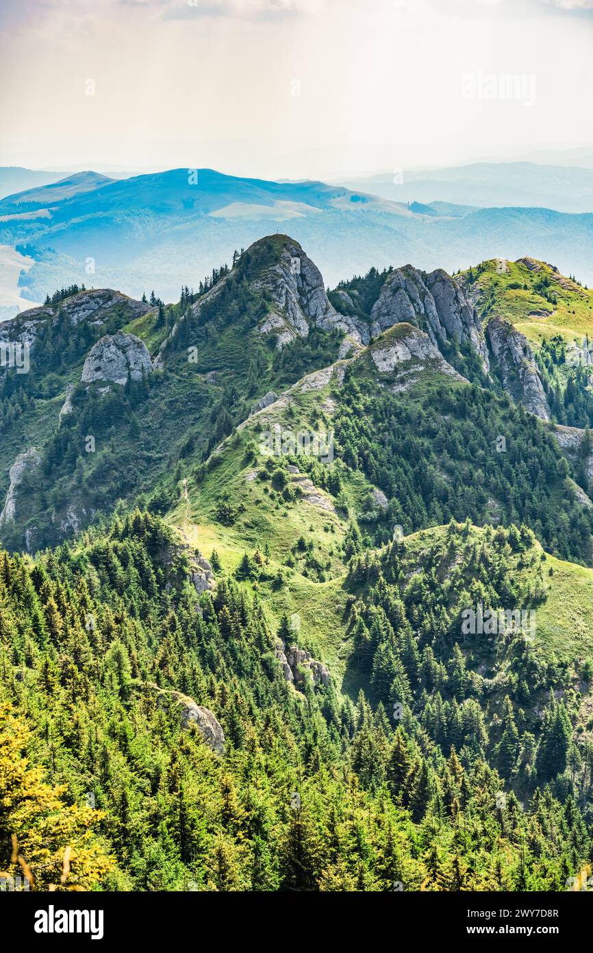 Beau paysage pittoresque dans les montagnes de Ciucas partie des Carpates en Roumanie. Banque D'Images