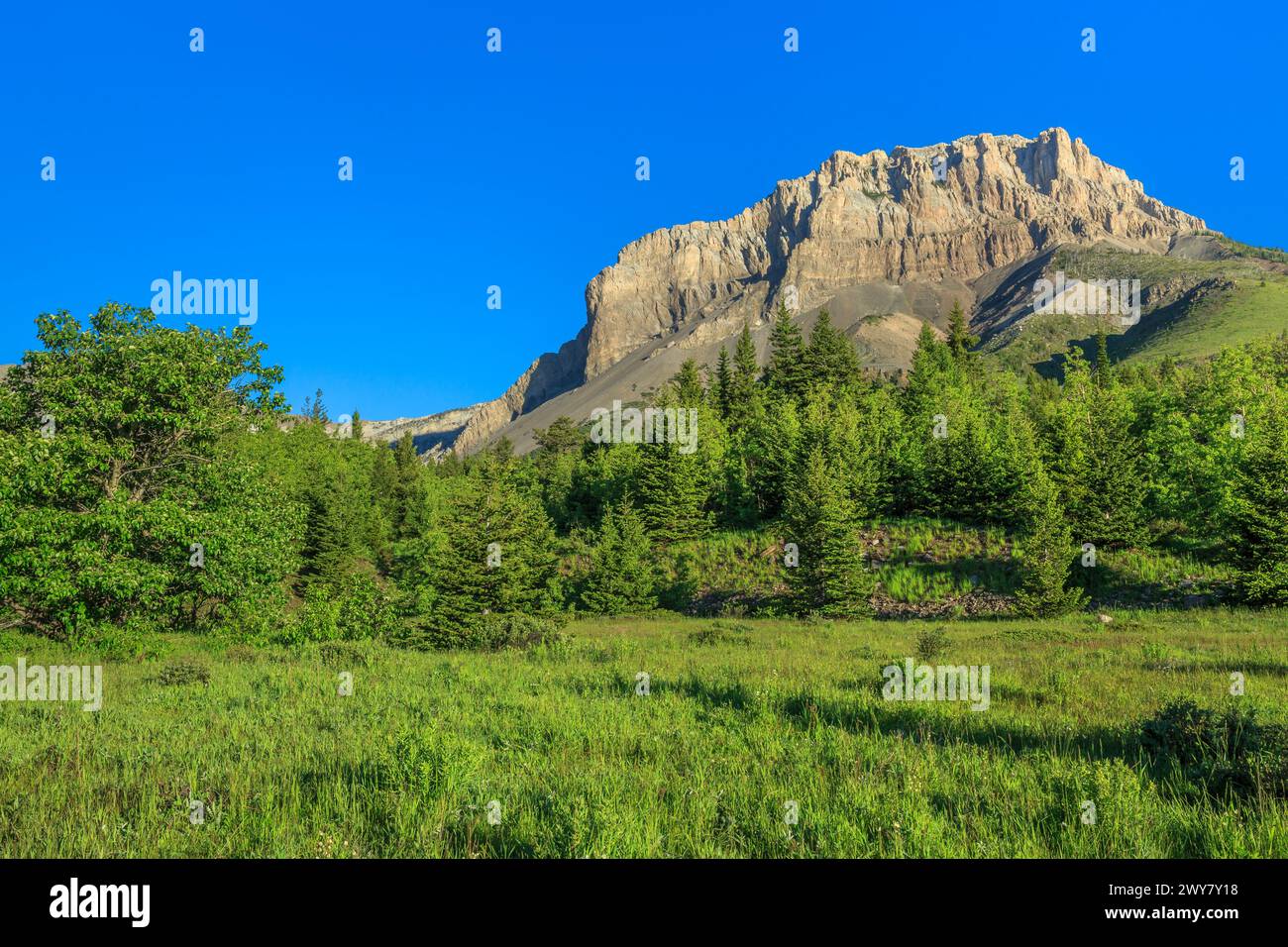 mont frazier au-dessus du canyon des feuilles noires le long du front de montagne rocheux près de bynum, montana Banque D'Images