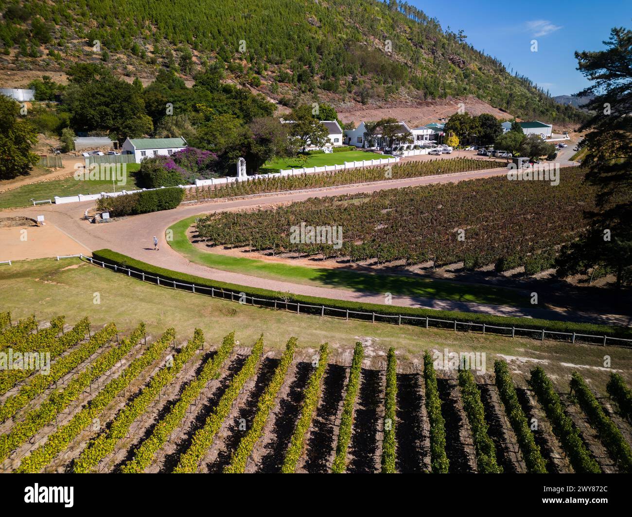 franschhoek-vineyard-banque-de-photographies-et-d-images-haute