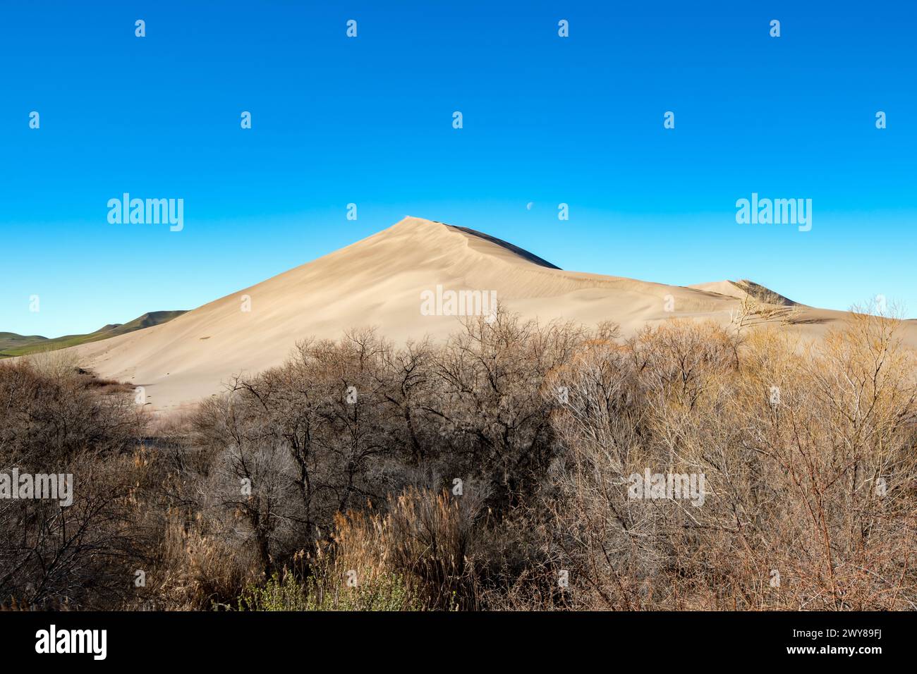 Lune sur Bruneau Dunes State Park Idaho Banque D'Images