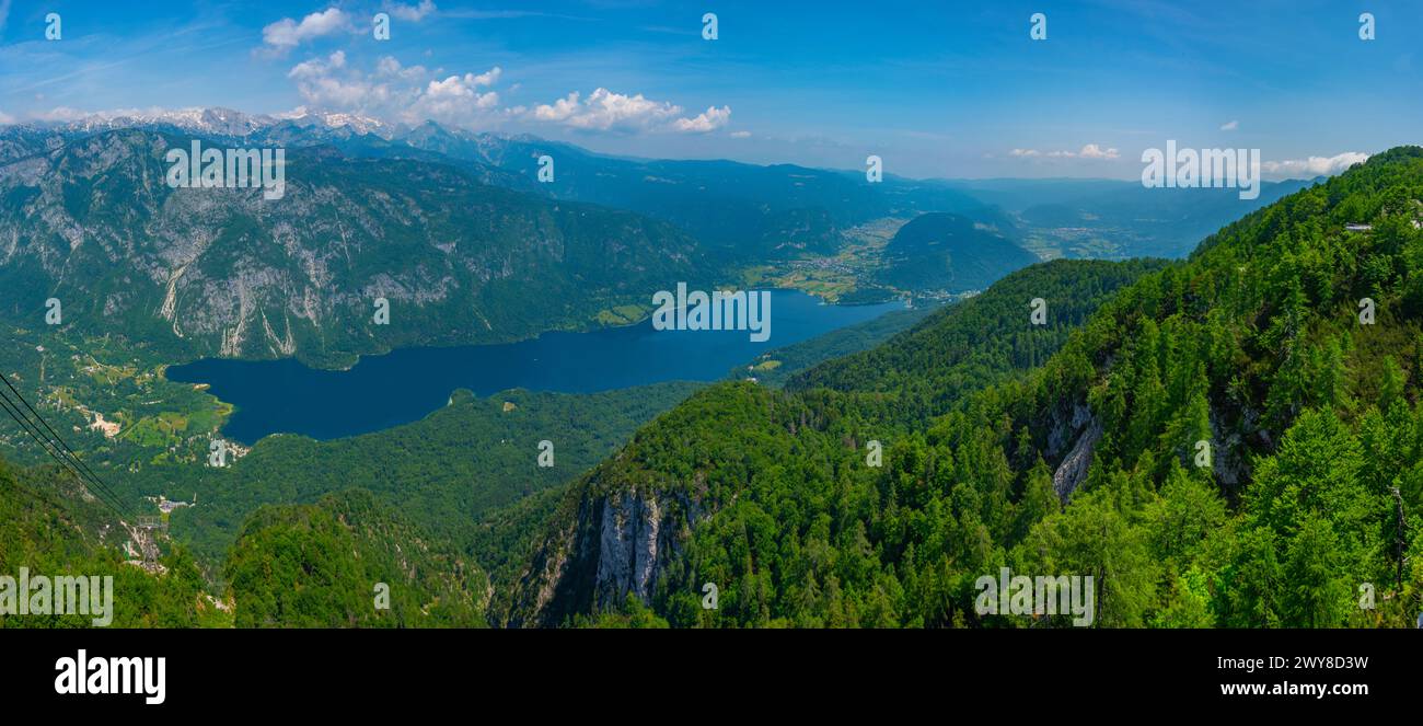 Vue aérienne du lac Bohinj en Slovénie Banque D'Images